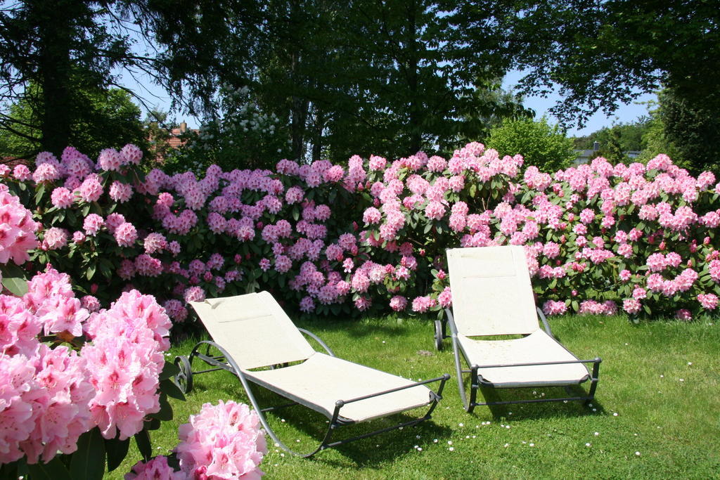 Pension Villa Edelweiss Sellin  Buitenkant foto