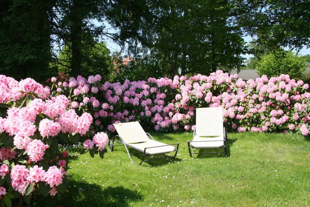 Pension Villa Edelweiss Sellin  Buitenkant foto